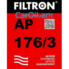 Filtron AP 176/3